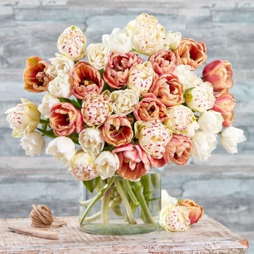 Image of Tulip ‘Vintage Double Mix’ – Antique-Coloured Peony-Style Double Bloom Tulip Bulbs – Hardy Perennial Spring Flowering Mix, 36 Bulbs, by Thompson & Morgan