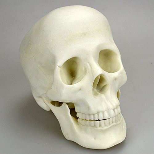 Image of Angraves White Marble Effect Skull Ornament