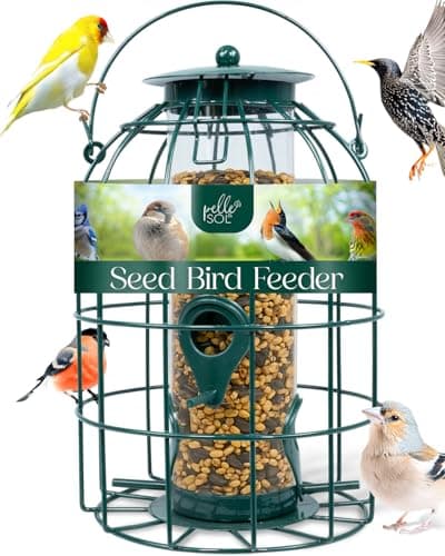 Image of Pelle & Sol Bird Feeder - Seed Feeder for Wild Birds - Compact Iron Design for Bird Feeders Hanging Station - Weather Resistant, Squirrel Proof, Easy Clean, Hang Anywhere Outdoor Feeders
