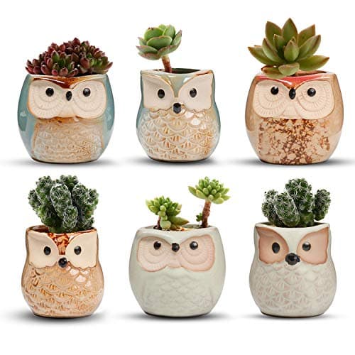 Image of T4U 6CM Ceramic Succulent Planter Pots Mini Size Set of 6, Small Flower Plant Pots with Drainage Hole, Cute Owl Pots for Home Office Decoration, Desktop Windowsill Owl Gift for Gardener for Birthday