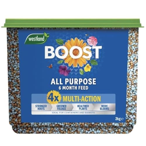 Image of Westland Boost Slow Release Plant Food 2kg
