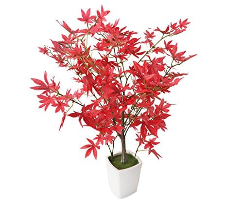Image of "Closer2Nature Artificial 1ft 7"" Red Japanese Maple Tree - Artificial Silk Plant and Tree Range", P077D