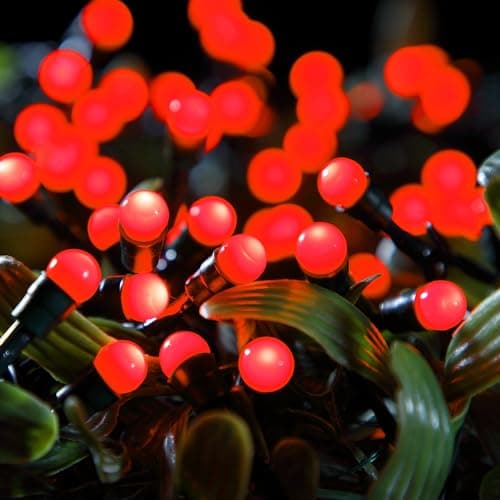 Image of Fit & Forget Battery 100 LED Berry Lights : Timer Multifunction : Indoor/Outdoor : Red 6816019GR