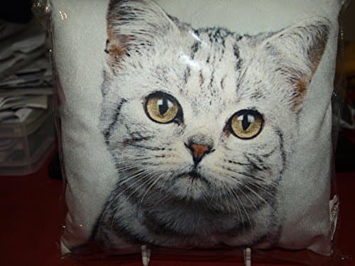 Image of JMS we create smile BEAUTIFUL MINI VISAGE LUXURIOUS SOFT VELOUR LIFELIKE CAT PRINT CUSHION