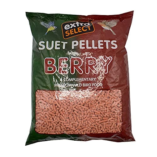 Image of Extra Select Berry High Energy Suet Pellets Wild Bird Food - Protein, Fat Rich Year-Round Feeding - 3 Kg Refill