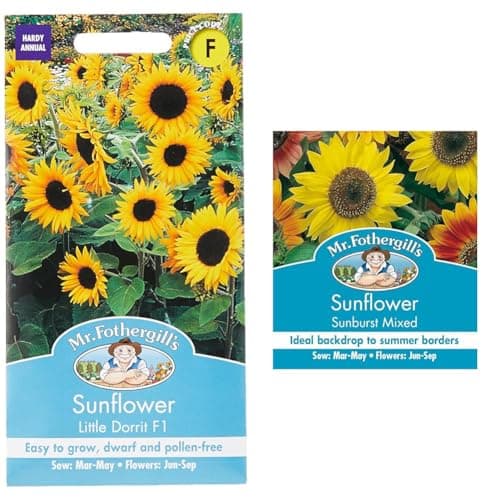 Image of Mr Fothergill's 24272 Flower Seeds, Sunflower Little Dorrit F1, Yellow & Mr. Fothergill's 24961 Sunburst Sunflower Seeds, Mixed