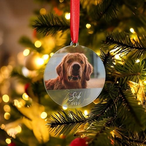 Image of Personalised Pet Christmas Bauble Ornament Pet Lovers Gift Anniversary Wedding Animals Dogs Cats Memorial Photo (Clear)