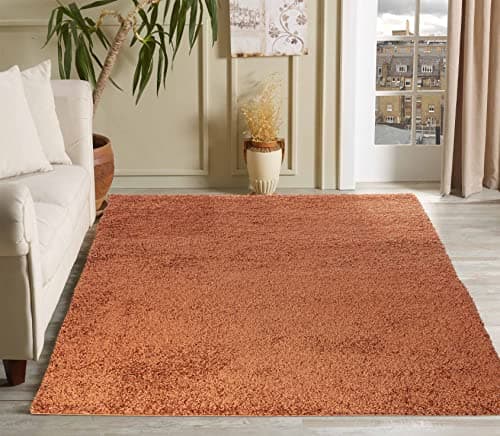 Image of Serdim Rugs Living Room Shaggy Area Rugs, Polypropylene, Terracotta, 120x170cm(4'x5'6)