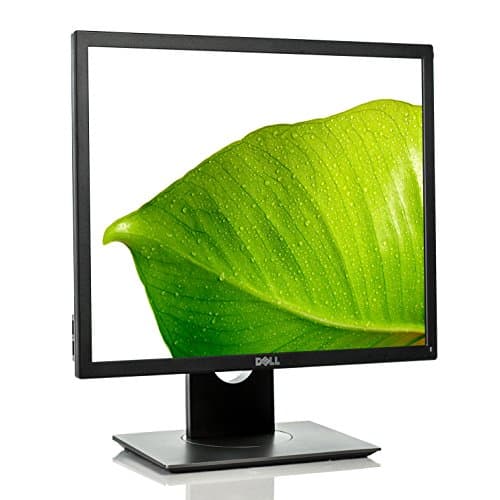 Image of Dell P1917S Monitor