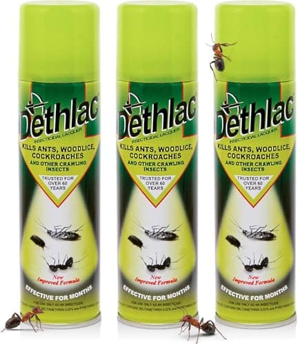 Image of 3 x Dethlac 250 ml Insecticidal Lacquer (Kills Insects such as Ants, Woodlice and Cockroaches, Surface Spray for Homes and Gardens, Remains Effective for Months)