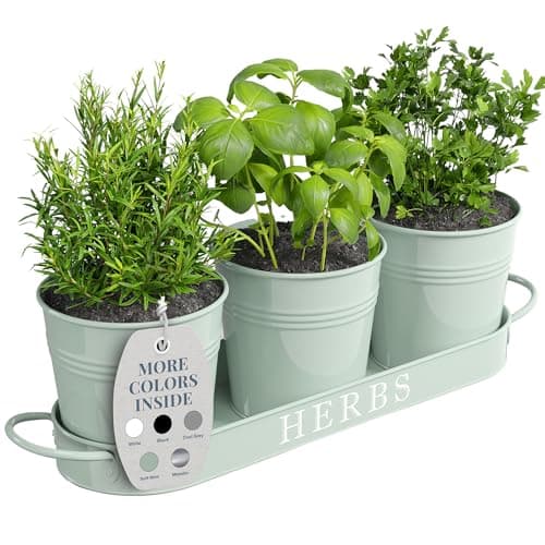 Image of Barnyard Designs Herb Pot Planter Set with Tray for Indoor Garden or Outdoor Use, Soft Mint Metal Succulent Potted Planters, (Set of 3, 11 x 10cm Planters on 32 x 10cm Tray)