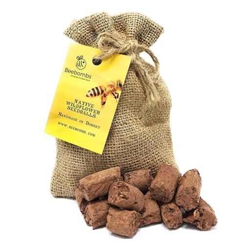 Image of Official Beebombs Wild Flower Seeds UK Native Mix - Handmade in Dorset Wildflower Meadow Seed Balls, Bee Gifts, Gift for Gardener, 21sqft Coverage