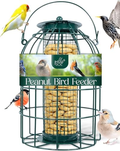 Image of Pelle & Sol Bird Feeder - Peanut Feeder for Wild Birds - Compact Iron Design for Bird Feeders Hanging Station - Weather Resistant, Squirrel Proof, Easy Clean, Hang Anywhere Outdoor Feeders
