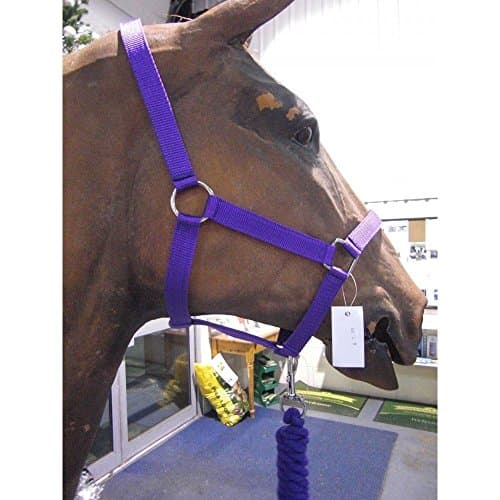 Image of Roma Headcollar & Lead Set, Red, Full