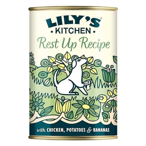Image of Lily's Kitchen Made with Natural Ingredients Adult Wet Dog Food Tin Rest Up Recipe 6 x 400g
