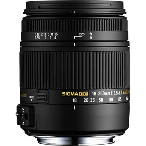 Image of Sigma 18-250mm f/3.5-6.3 DC Macro HSM Lens for Sony