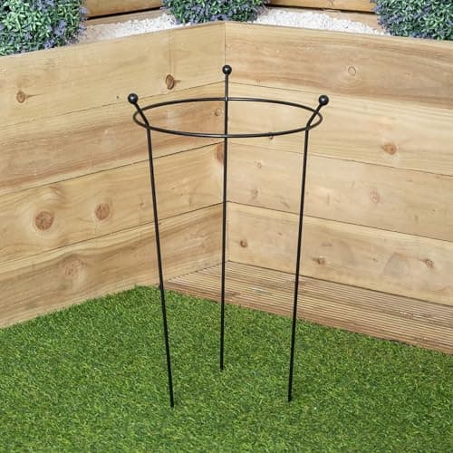 Image of Samuel ALEXANDER Heavy Duty Black Metal Steel Herbaceous Garden Plant Support Ring Small 60cm x 35cm (Pack 1)
