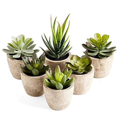 Image of PRIMAISON Artificial Succulents Plants Potted Set-Decorative Fake Succulent Plant Faux Plastic Plant Indoor &Outdoor for House Office Desk Bathroom Kitchen DIY Decor Gift Set of 6