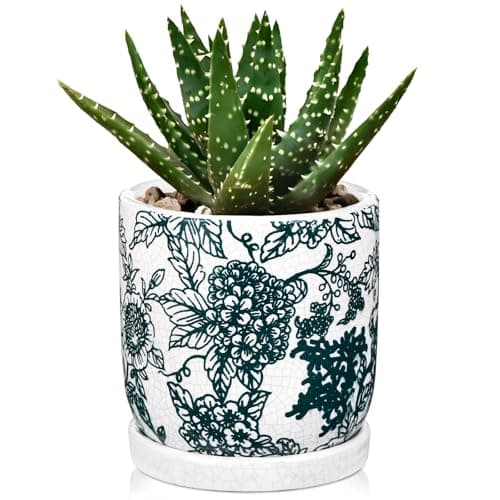 Image of Hollyone 14CM Jade Green Ceramic Plant Pot, Chinoiserie Planter with Saucer and Drainage Hole, Decorative Garden Pot with Crackle Glaze, Handmade Flower Pottery for Succulent, Orchid, Cactus, Herb