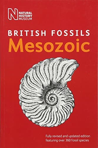 Image of British Mesozoic Fossils (British Fossils): 2