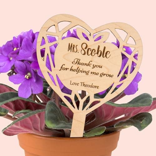 Image of Joyforge Personalised Wooden Plant Stake - The Perfect Finishing Touch for Plant Gifts - Custom Engraved Sign to Elevate Your Flower Pot Present for Teacher, Nursery Teacher, Mum, Dad, Grandparents