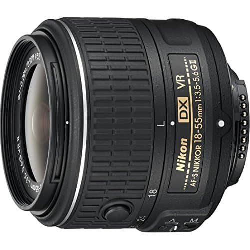 Image of Nikon AF-S DX NIKKOR 18-55 mm f/3.5-5.6G ED VR Lens