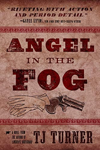Image of Angel in the Fog: Volume 3 (Lincoln's Bodyguard Series)