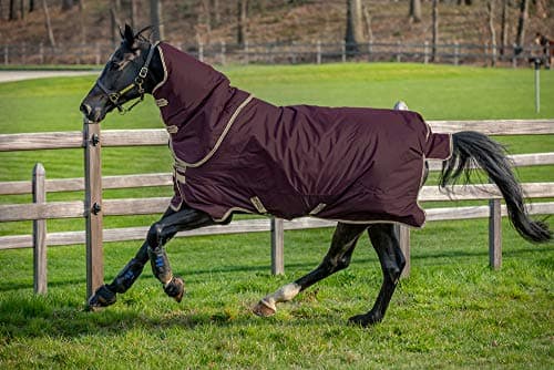 Image of Horseware Amigo Hero Ripstop Plus Lite Turnout Rug 5ft6 Fig/Navy & Tan