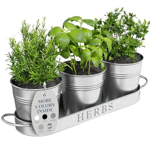 Image of Barnyard Designs Herb Pot Planter Set with Tray for Indoor Garden or Outdoor Use, Decorative Galvanized Metal Succulent Potted Planters for Kitchen, (Set of 3, 11 x 10cm Planters on 32 x 10cm)