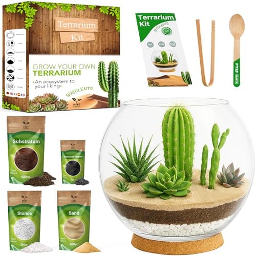 Image of PYEF CRAFTS DIY Terrarium Kit for Succulent Plants & Cactus - Starter Set with Glass Bowl Included - Make your Own Terrarium Kit with Jar, Sand, Soil, Charcoal, Stones and Tools (Without Plants)