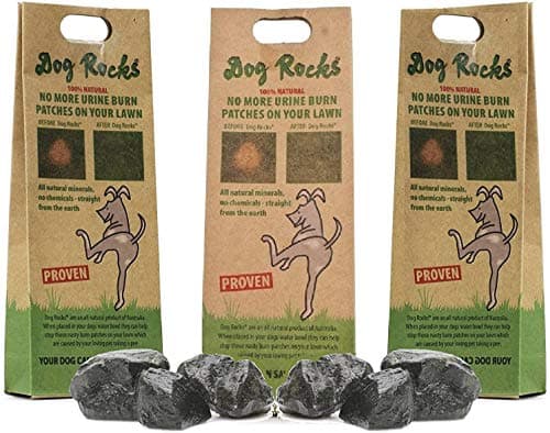 Image of Dog Rocks for Urine Burning Grass - 200g Each - Natural Pet Rock to Help Maintain Green Lawn - Grass Savers for Dog Urine - 6 Month Supply for Use in Water Bowls or Yard (Pack of 3)