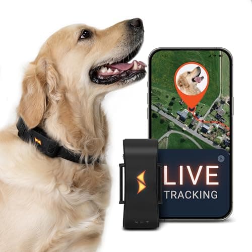 Image of PAJ GPS Dog Tracker - 4G Real-Time Tracking & Runaway Alerts - Waterproof, Long-Range, Smart App Monitor Health & Activity - Fits Any Collar, Mini Device Navigator Chip - Subscription Required - Black