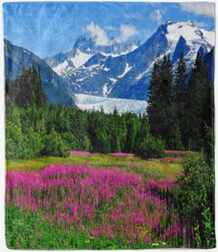Image of ANHOPE Nature Throw Blanket Soft Lightweight Flannel Fleece Blanket Snow Mountain Forest Flower Print Pattern for Couch Sofa Bed All Season Decorative Throw for Kids Adults Single 130 x 150 cm