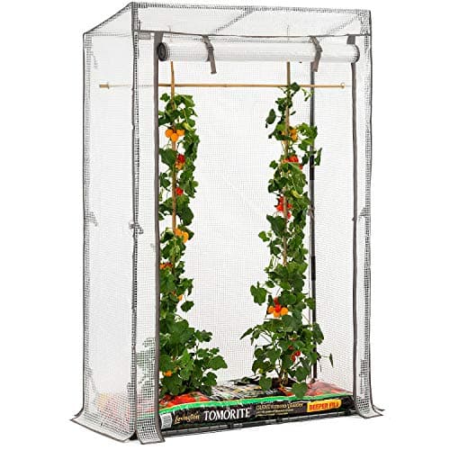 Image of Christow Tomato Greenhouse With Reinforced Cover & Frame Garden Growhouse (Single Growbag)