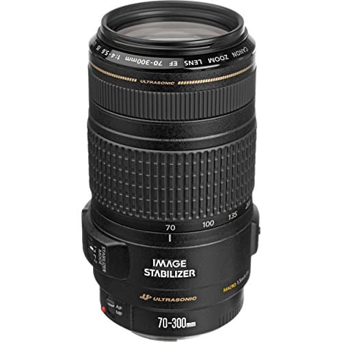 Image of Canon EF 70-300mm f/4.0-5.6 IS USM