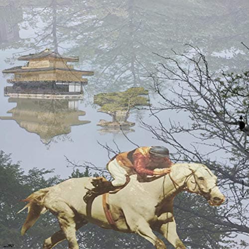 Image of Drums of Autumn