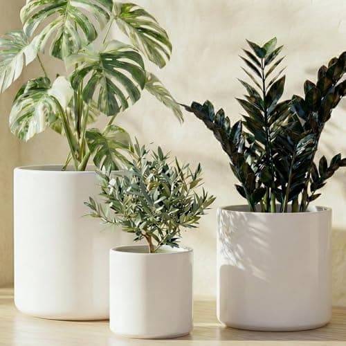 Image of LE TAUCI 15+20+25 cm Plant Pots Set, Ceramic Planters for Indoor Plants, Mid-Century Modern Flower Planter Pots with Drainage Hole and Plug, Cylinder Round Planter Pots, Set of 3, White