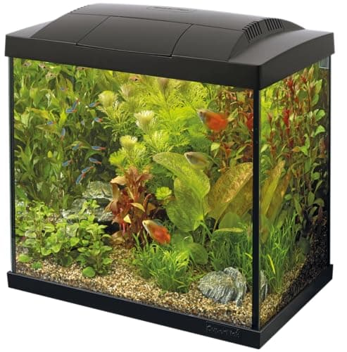 Image of Superfish Start 30 Aquarium Tropical 25L - Black