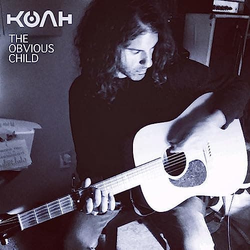 Image of The Obvious Child