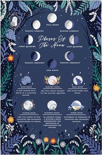 Image of Ulster Weavers Moon Tea Towels (74 x 48cm), 100% Cotton, Kitchen Towel/Cloth, Dish Cloths, Kitchen Accessories, Tea Towels for Kitchen, Solar Eclipse/Astronomy