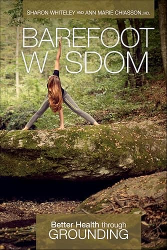 Image of Barefoot Wisdom: Better Health through Grounding
