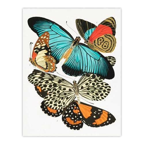 Image of Artery8 Vintage Butterflies Blue and Orange Wall Art Print Vintage : by Seguy 12x16 Bright butterfly Picture full of cheerful energy, suited to kitchens or uplifting living rooms