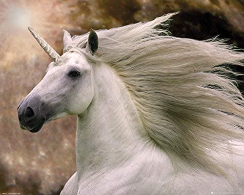 Image of Bob Langrish Unicorn Mini Poster