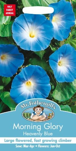 Image of Mr Fothergill's 21960 MORNING GLORY Heavenly Blue Flower Seeds