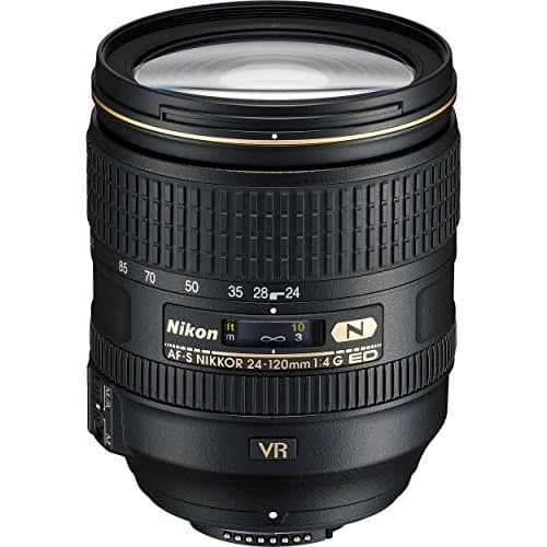 Image of Nikon AF-S NIKKOR 24-120mm f/4G ED VR Lens