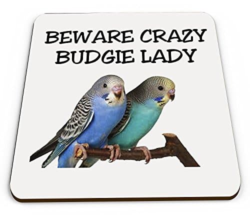 Image of Crazy Budgie Lady Novelty Funny Mug Coaster