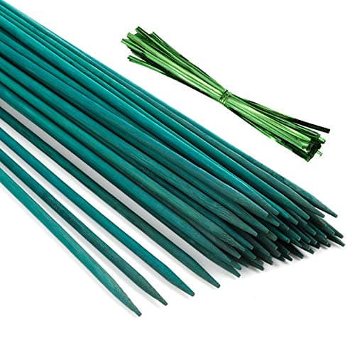 Image of Pllieay 30 Pieces of 30 cm Green Bamboo Sticks with 60 Pieces Metallic Twist Ties, Green Plant Stake, Floral Picks, Wooden Sign Posting Garden Sticks, Plant sticks, Plant Stake