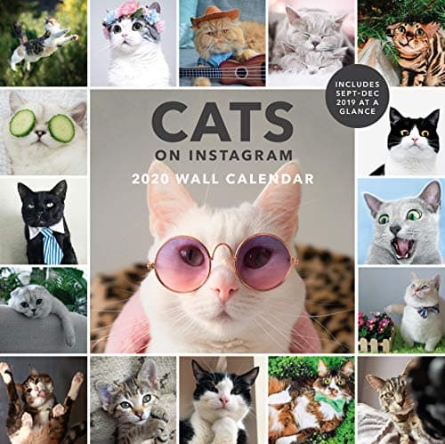 Image of Cats on Instagram 2020 Wall Calendar