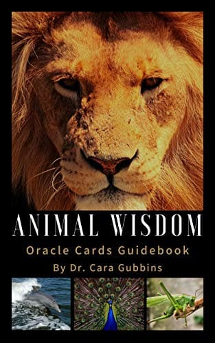 Image of Animal Wisdom Oracle Cards Guidebook