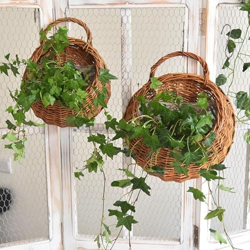 Image of Monsully Hanging Planter Basket with Wicker, Round Hanging Flower Plant Pot Plant Basket, Rattan Wall Basket for Home Decor, Garden, Wedding (Natural, 26 × 20 cm)